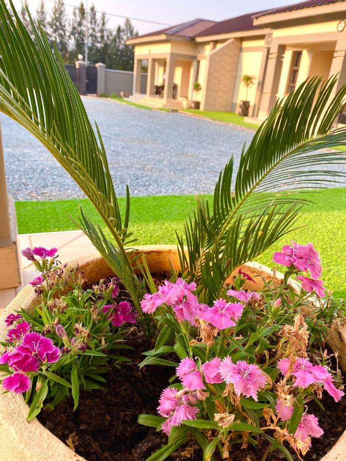 אזולוויני Green Haven Apartments מראה חיצוני תמונה